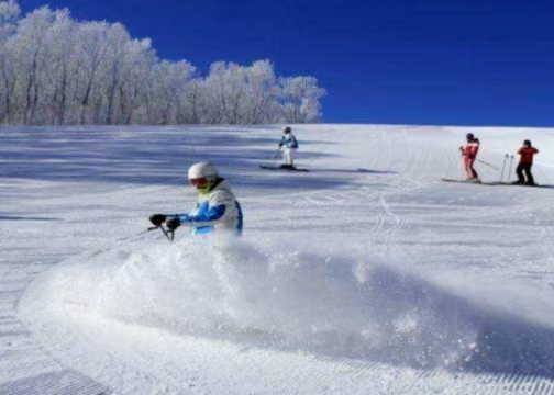 國務院辦公廳關于以冰雪運動高質量發(fā)展激發(fā)冰雪經濟活力的若干意見